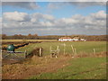 Fields South of Crossways Cottages