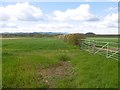 Arable land beneath Corse Hill