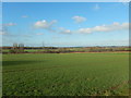 Farmland and Pylons North West of Fulking