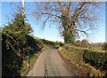 The Moygannon Road approaching the junction with Clonallon Road