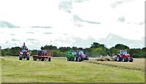 SY9899 : Hay cutting at Bear Mead nature reserve by Derek Voller