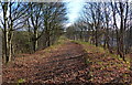 Access road alongside the M1 motorway