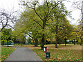 Path into Mountsfield Park