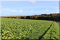 View Towards Fords Croft Farm