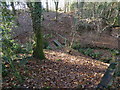 Footbridge in woodland east of Shipley Road