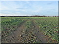 SU2190 : Arable Field near Sevenhampton by Vieve Forward