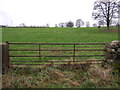 Field entrance off Long Lane