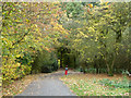 Path. Forster Park