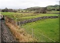 View from a Skipton-Rylstone excursion train - Fields near Swinden Beck