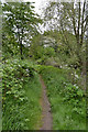 Sowe Valley footpath enters the Binley side of the valley, east Coventry