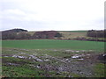 Crop field off Brackenthwaite Lane