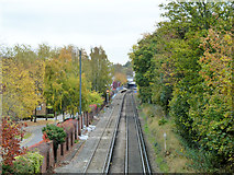 TQ3975 : Railway, Blackheath by Robin Webster