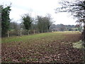 Narrow field beside the Leeds to Harrogate railway