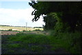 Farmland, woodland boundary