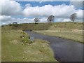 NS6327 : River Ayr by Richard Webb
