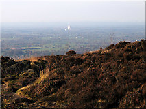 SJ9063 : View from the Cloud towards Jodrell Bank by Stephen Craven