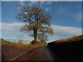 Lane, passing Churchwalls