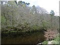 River Ayr, Daldorch