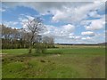 Fields near Catrine