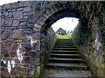 H3462 : Entrance to old abbey, Dromore by Kenneth  Allen