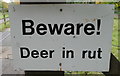 ST8083 : Deer in Rut Sign, Badminton Park, Gloucestershire 2014 by Ray Bird