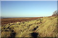 Red Rocks Marsh and Dunes