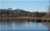 NY3703 : Rocks protruding into shore of Windermere by Trevor Littlewood