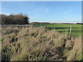 Playing fields next to Rainham Road