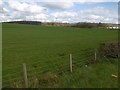 Grass field,  South Logan