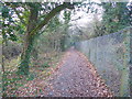 Footpath on the edge of Hornchurch Country Park