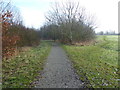 Path alongside Berwick Glades