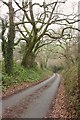 Lane into Strawberry Valley