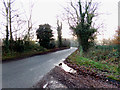 TG1014 : Paddy's Lane, Weston Green by Geographer