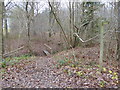 Footpath with bridge goes west in the woods