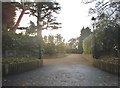 Entrance to The Rookery, Chaldon