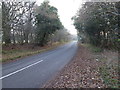 Looking south on Pound Lane