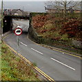 Weight limit sign facing High Street, Crosskeys