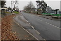 Folly Road bus stops and shelters, Trevethin