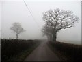 On Crossoaks Lane in the fog