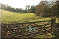 Meadow, Luckington