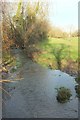 River Avon at Luckington