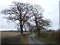 Road (footpath) to Brookhouse Farm