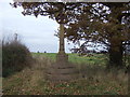 Monument on Plough Lane