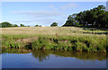 Canalside pasture near Wrenbury in Cheshire