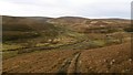 Quadbike track, Johnscleugh