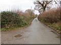 Hedged country lane at the entrance to The Rakes