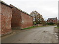 Road at the entrance to Nil Green Farm