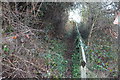 Hillside footpath, Cwm-Nant-Gwynt