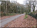 Road at Carndean (Shooting Range)