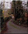 Narrow lane at the edge of Trinant